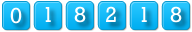 website hit counter